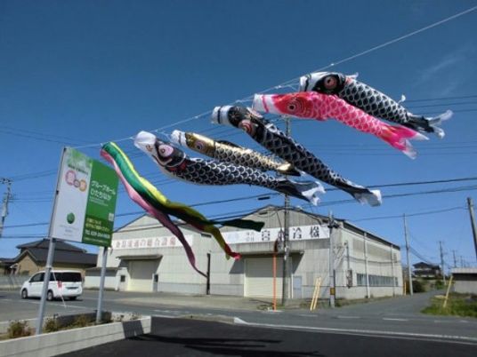 こいのぼりと看板