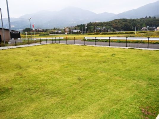 広い緑の中庭