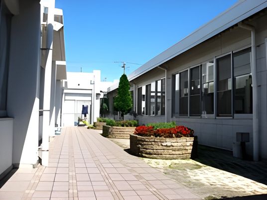 植物が並ぶ通路