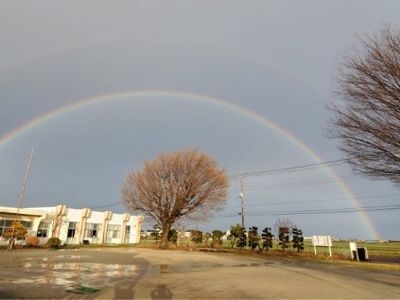 美しい庭の風景