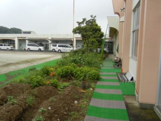 緑豊かな歩道