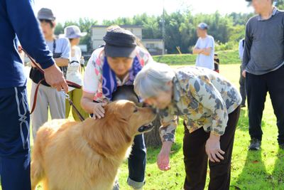 犬と触れ合う様子