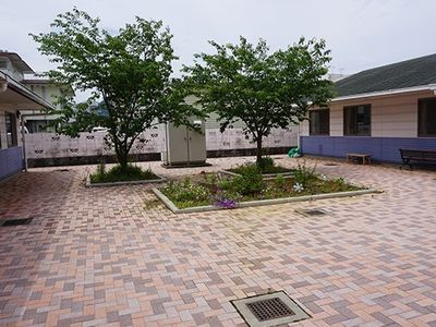 緑豊かな中庭の景観