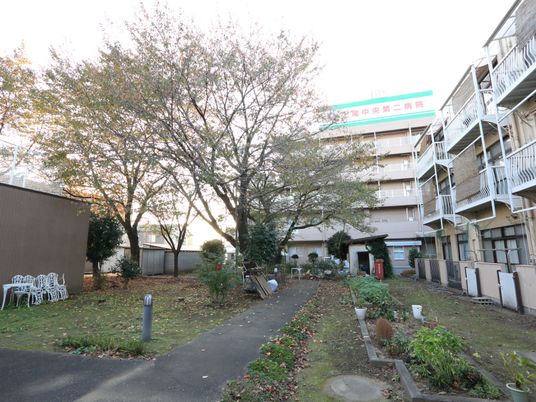 緑豊かな中庭