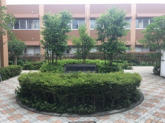緑豊かな中庭  