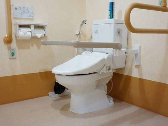 手すり付きの清潔なトイレ