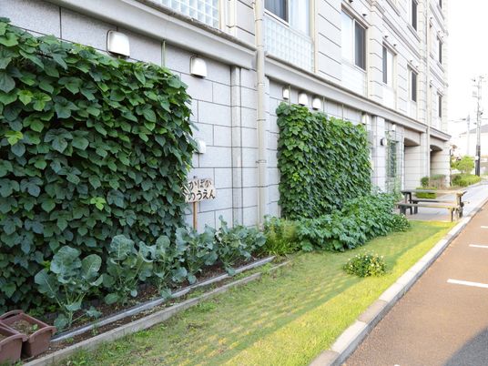 緑豊かな外観と看板