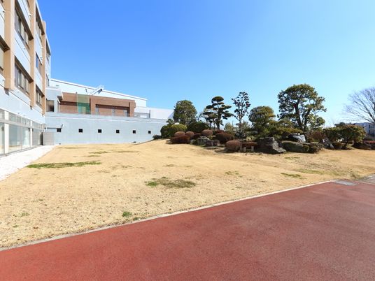 庭の緑豊かな風景