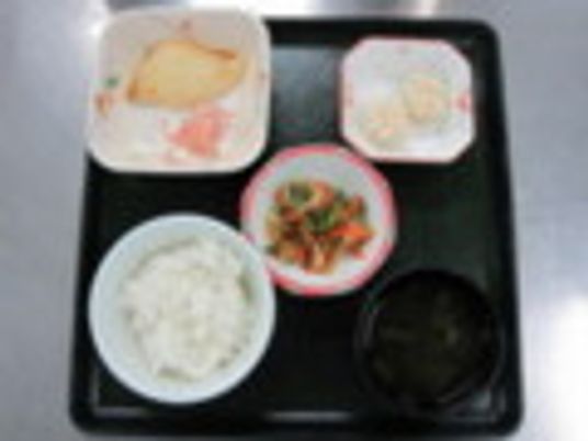 栄養豊富な食事トレー
