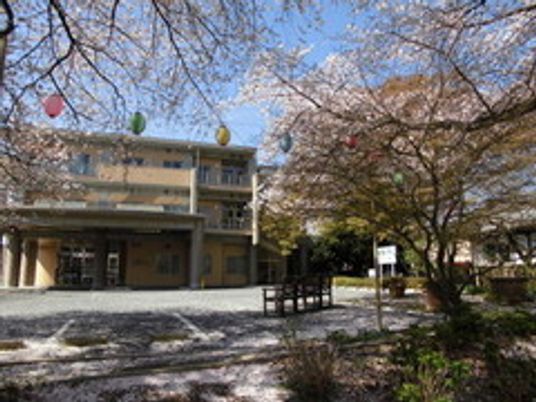 満開の桜と建物の外観