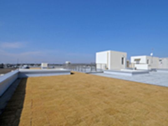 広々とした屋上スペース