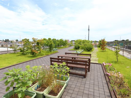 緑豊かな屋上庭園