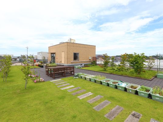 緑豊かな屋上庭園
