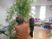 緑の植物に囲まれた多目的室