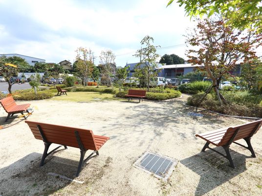 庭園に配置されたベンチ