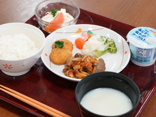 バランス良い食事の一例