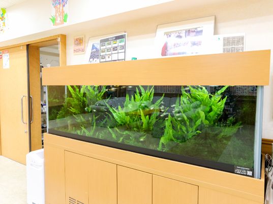 水槽と観葉植物のロビー