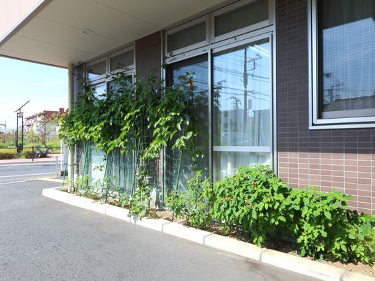 緑豊かな施設外観