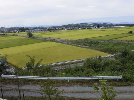 風景が広がる開放的な眺望