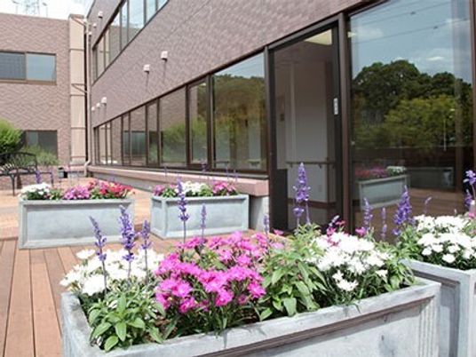中庭の花壇と建物