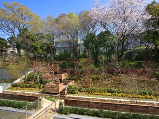 中庭の自然あふれる風景