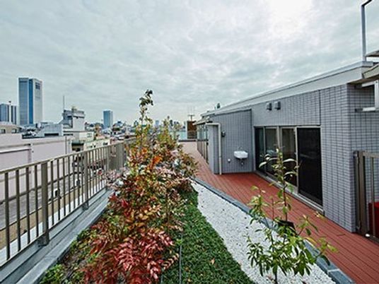 屋上庭園の明るい景色