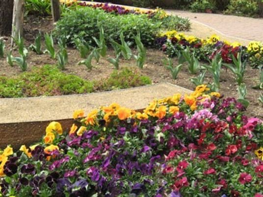 色とりどりの花が咲く庭