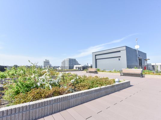 屋上庭園の明るい風景