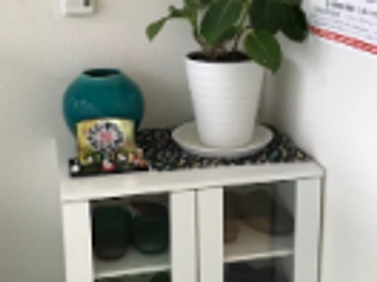 観葉植物の棚