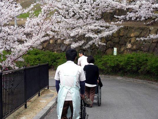 桜の下のスタッフと利用者の様子