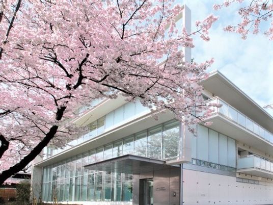 桜並木とモダンな建物