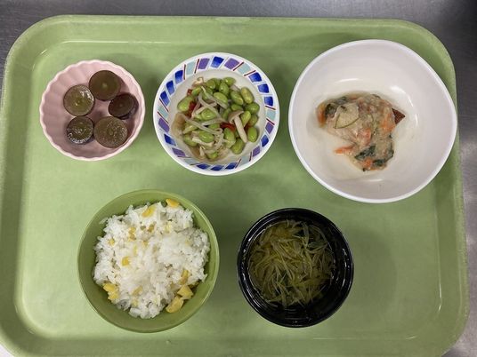 色とりどりの食事プレート