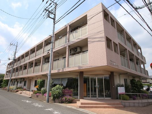 ピンクの建物の外観