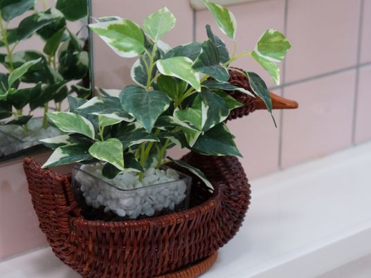 観葉植物と籐製のカゴ