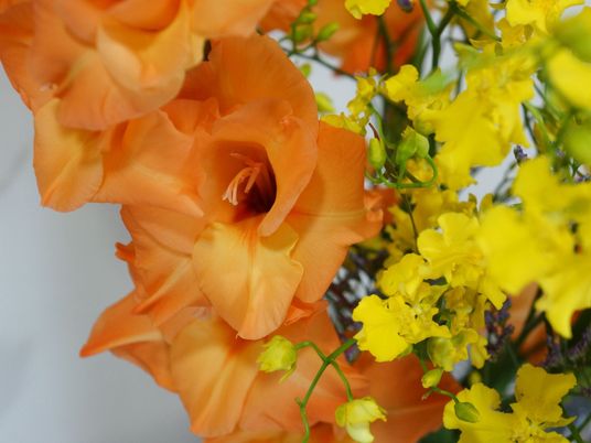 鮮やかな花のアレンジメント
