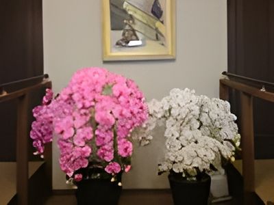 華やかな花が飾られた廊下