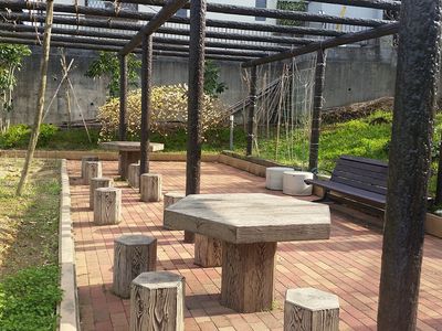 ゆったりとした庭の景色