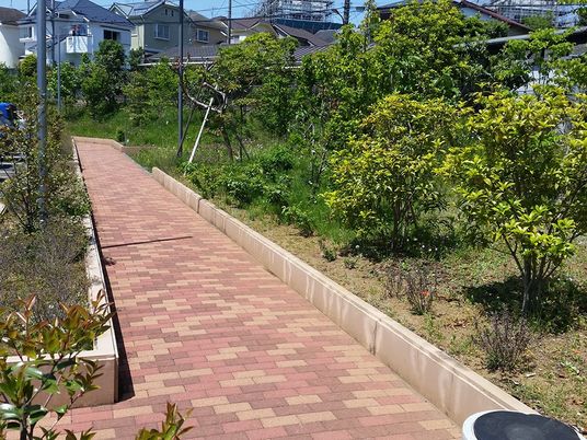 緑豊かな中庭の風景