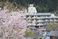 桜を望む建物外観