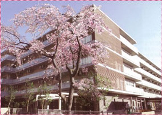 桜と共にある居室