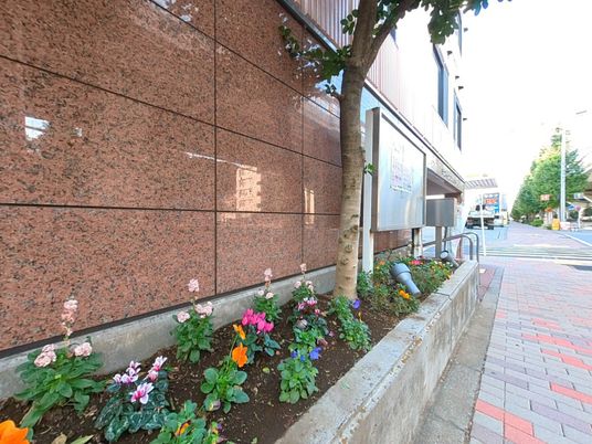 色とりどりの花壇の外観