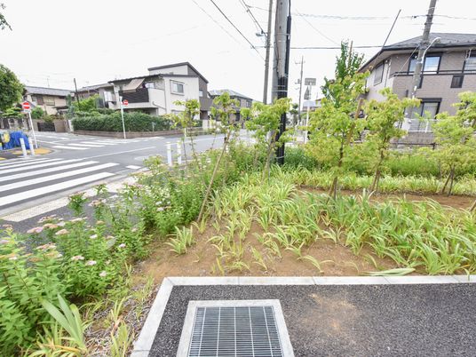 緑豊かな外観エリア