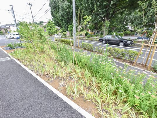 緑豊かな施設外観