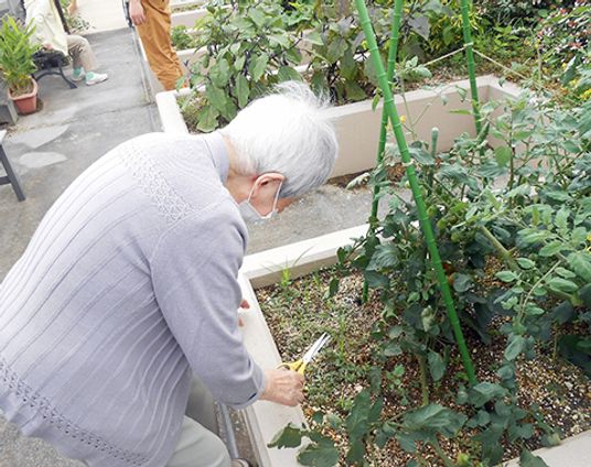 庭で植物を手入れする様子