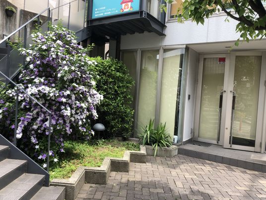 紫色の花が咲く庭