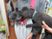 犬と触れ合う人々
