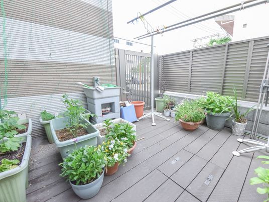 中庭の緑豊かな植物