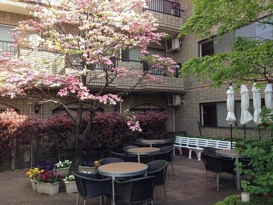 花が咲く明るい中庭