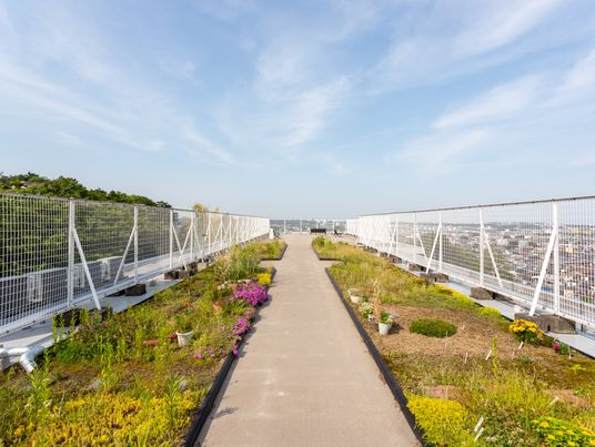 緑あふれる屋上庭園