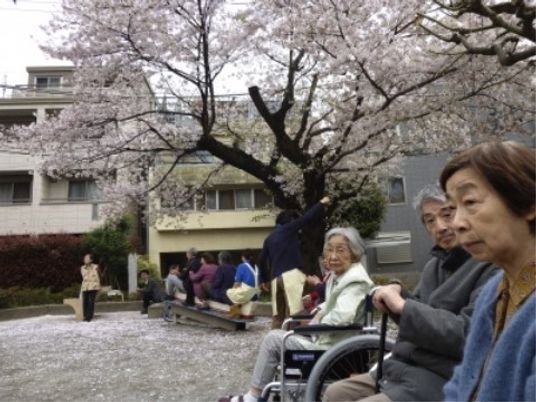 桜を楽しむ利用者とスタッフ